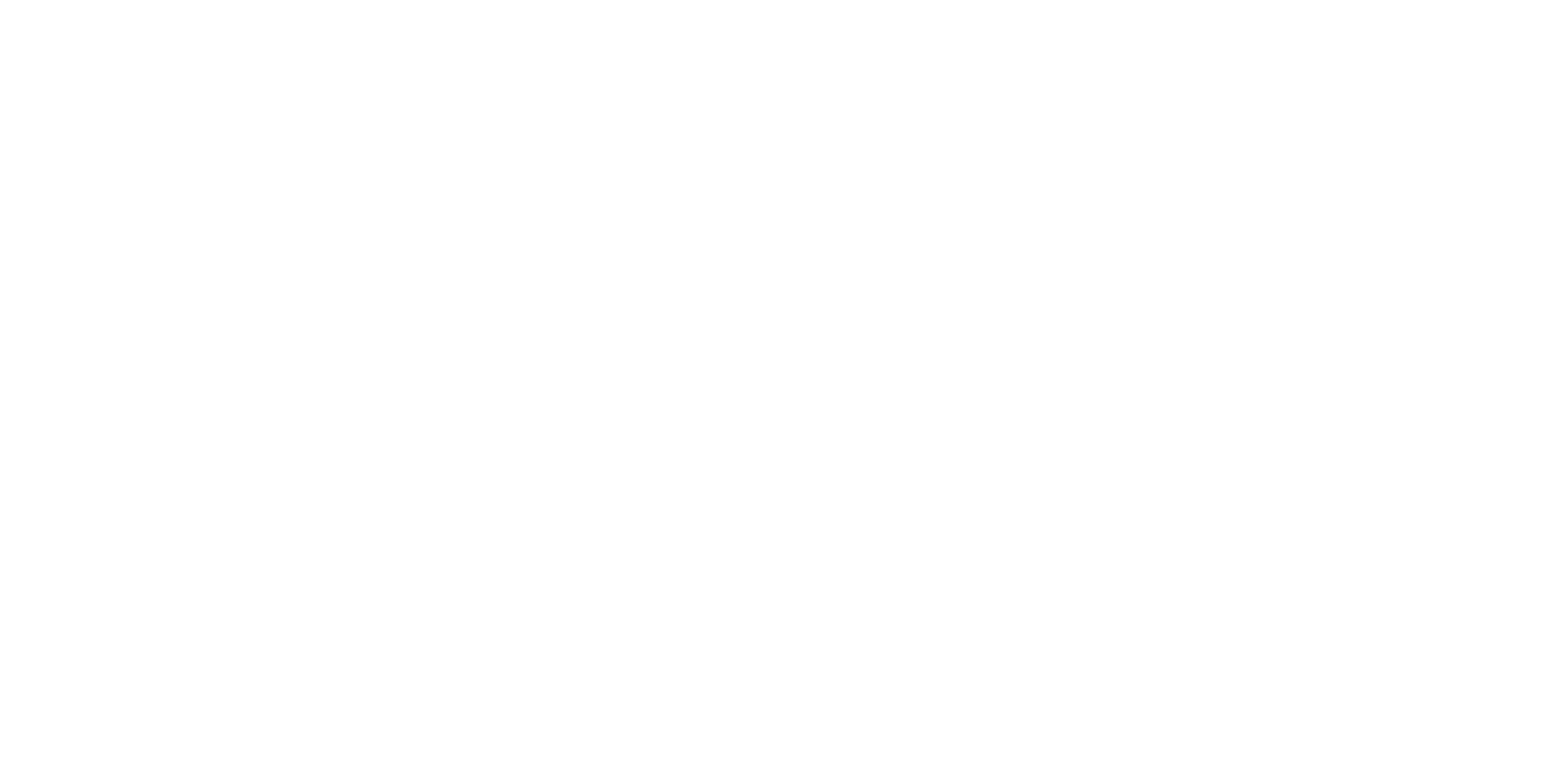 SpiderTeams Logo Fullwide White